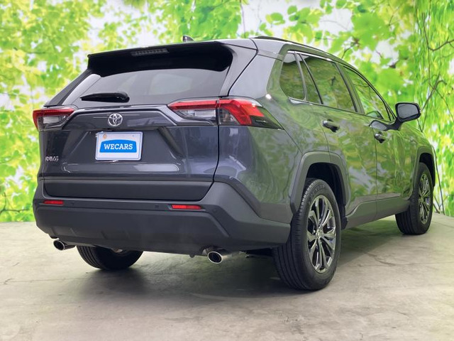 RAV42.0 X