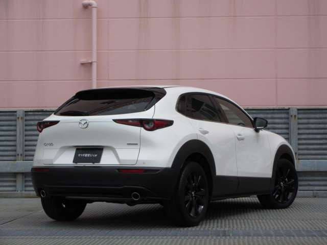 CX-302.0 20S