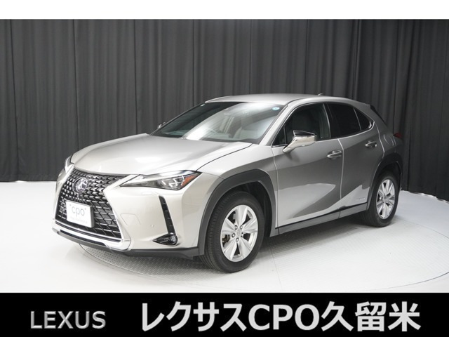 UX250h バージョンC
