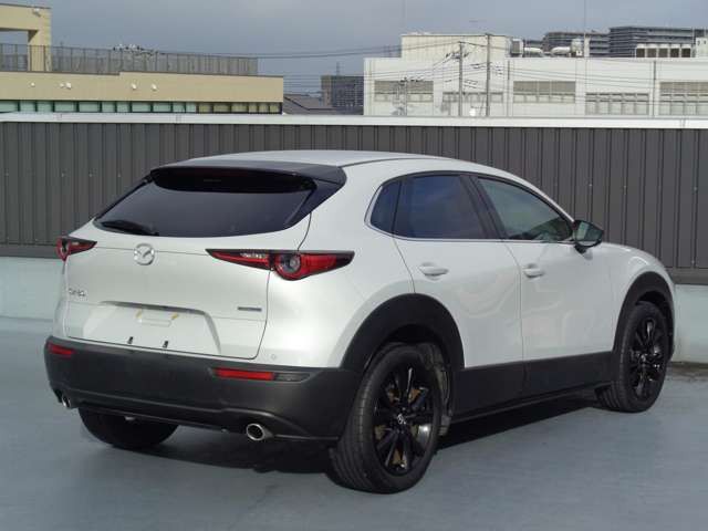 CX-301.8 XD レトロスポーツエディション 4WD
