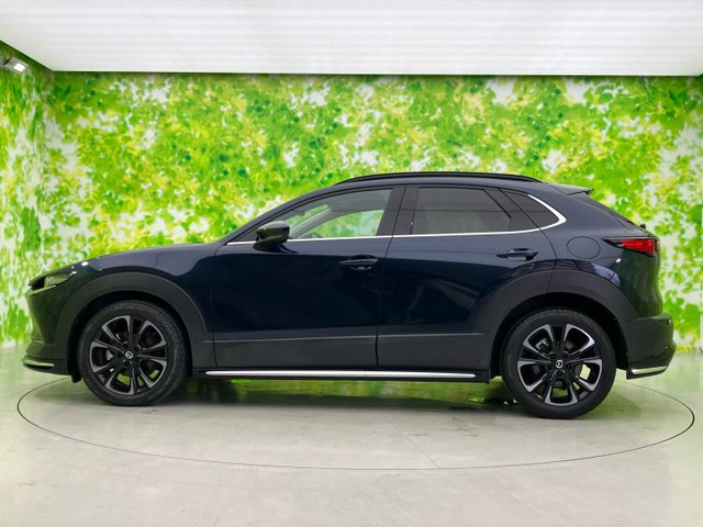 CX-301.8 XD Lパッケージ