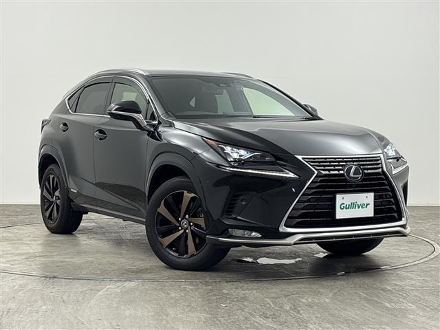NX300h スパイス&シック 4WD