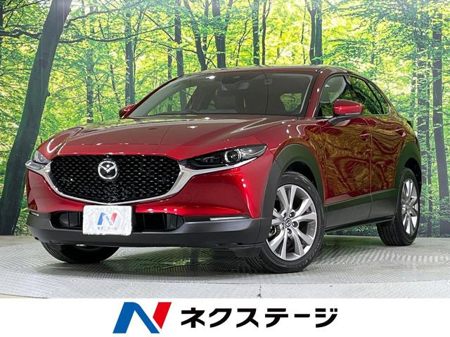 CX-301.8 XD Lパッケージ