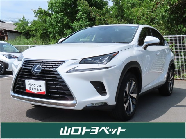 NX300h Iパッケージ