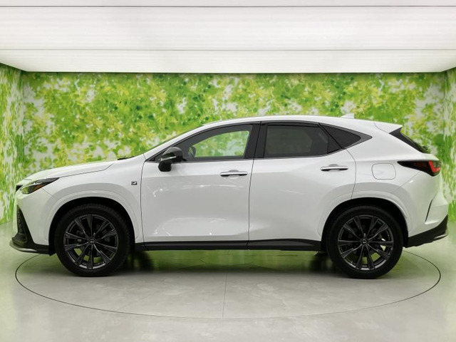 NX350 Fスポーツ 4WD