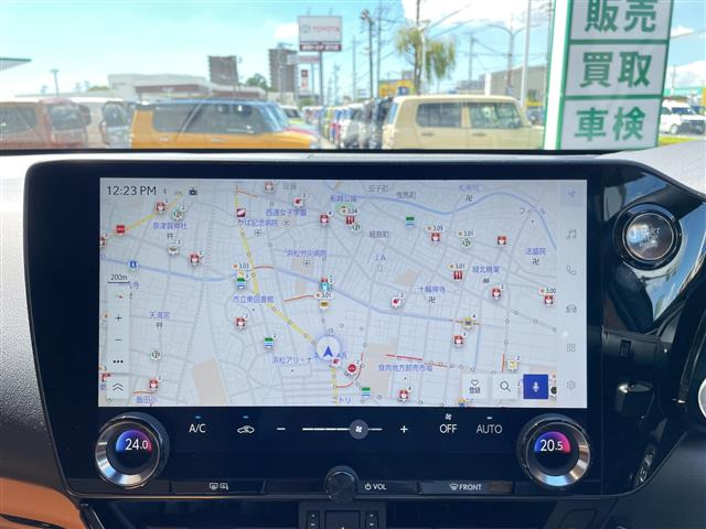 NX250 バージョンL