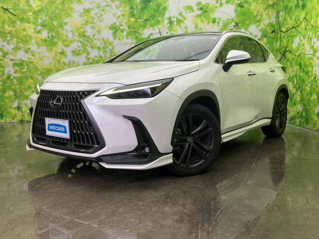 NX350h バージョンL