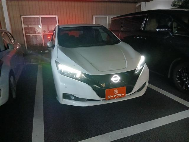リーフ