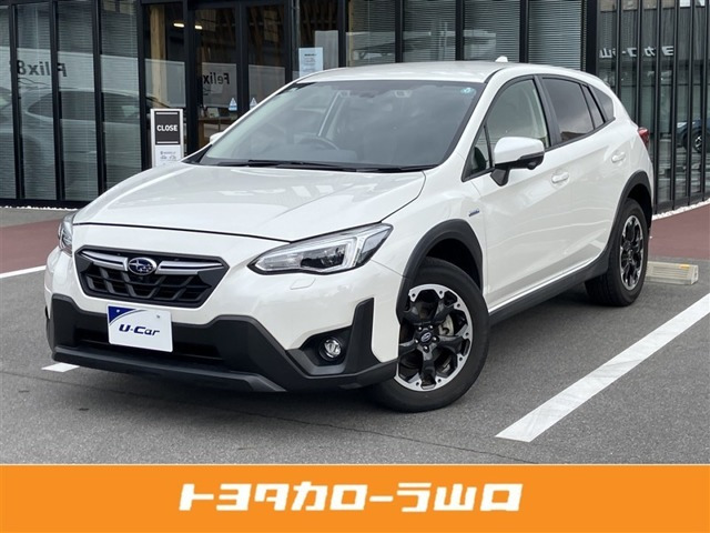 XV