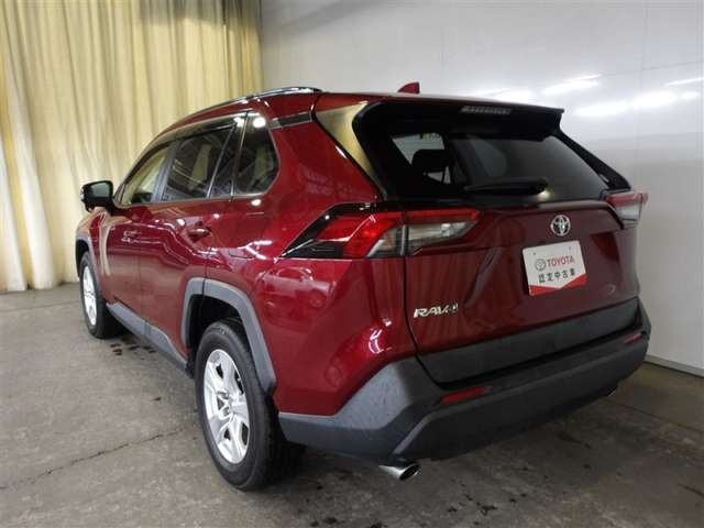 RAV42.0 X