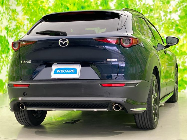 CX-301.8 XD Lパッケージ
