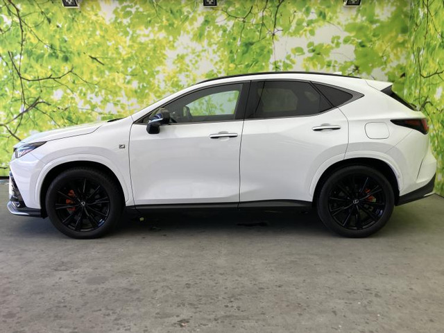 NX350 Fスポーツ 4WD