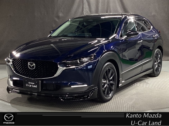 CX-302.0 20S ツーリング