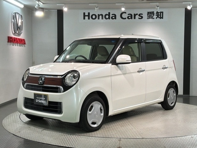 N-ONEG Lパッケージ