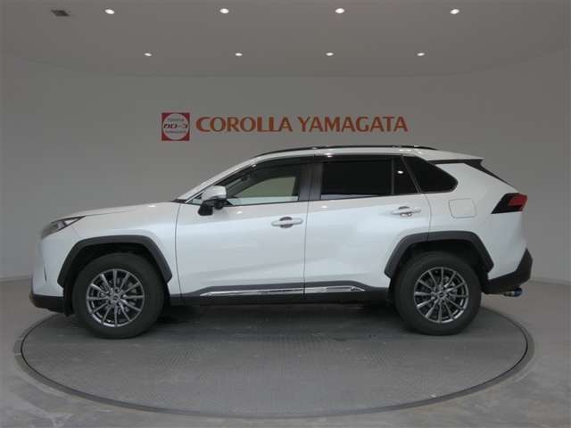 RAV42.0 X