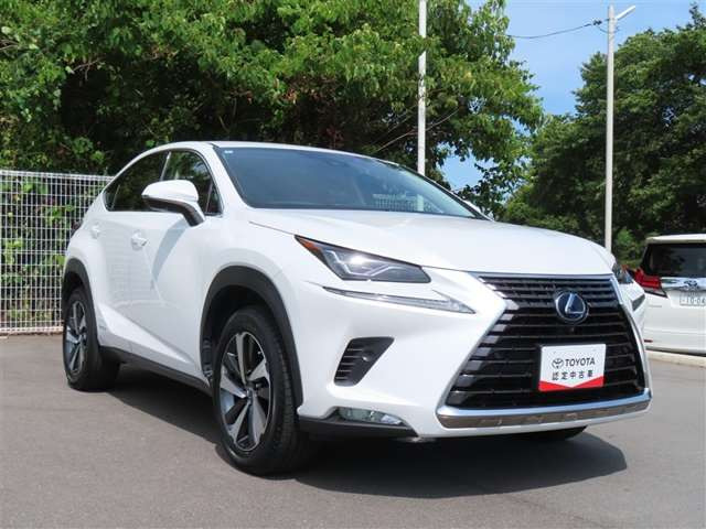 NX300h Iパッケージ