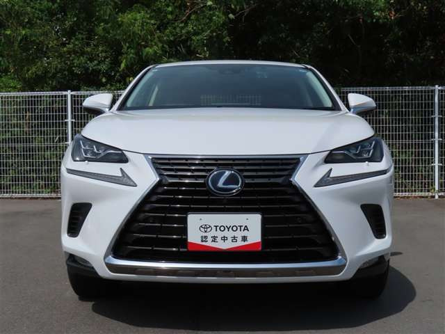 NX300h Iパッケージ