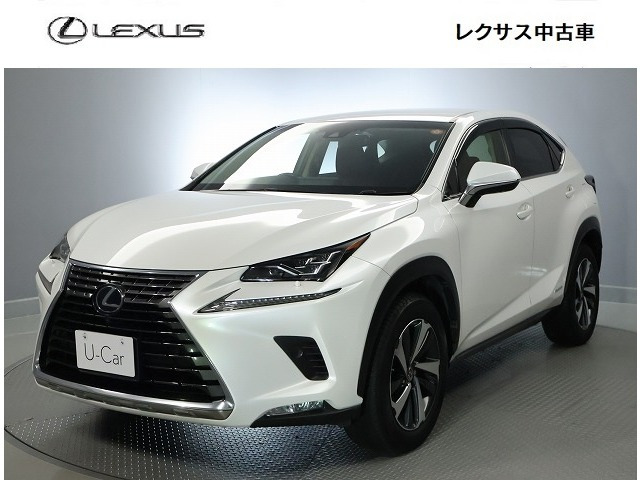 NX300h バージョンL 4WD