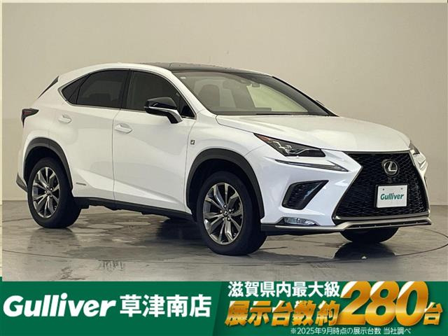NX300h Fスポーツ