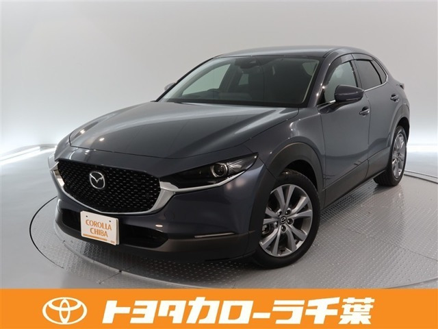 CX-302.0 20S プロアクティブ
