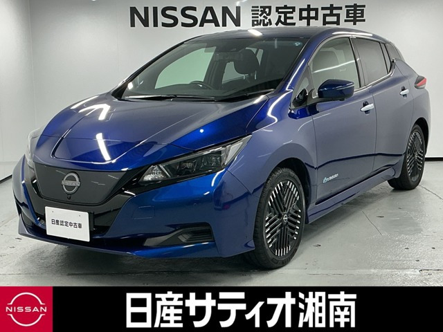 リーフ