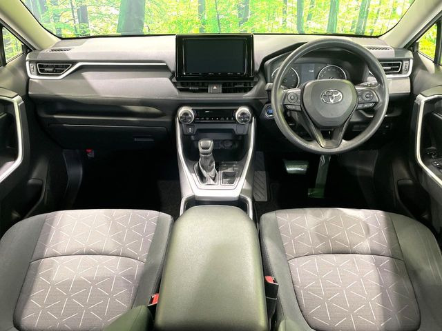 RAV42.0 X
