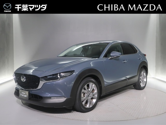 CX-302.0 20S プロアクティブ