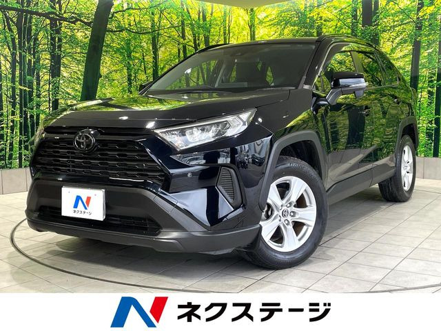 RAV42.0 X