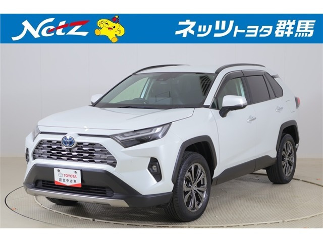 RAV42.5 ハイブリッド G E-Four 4WD
