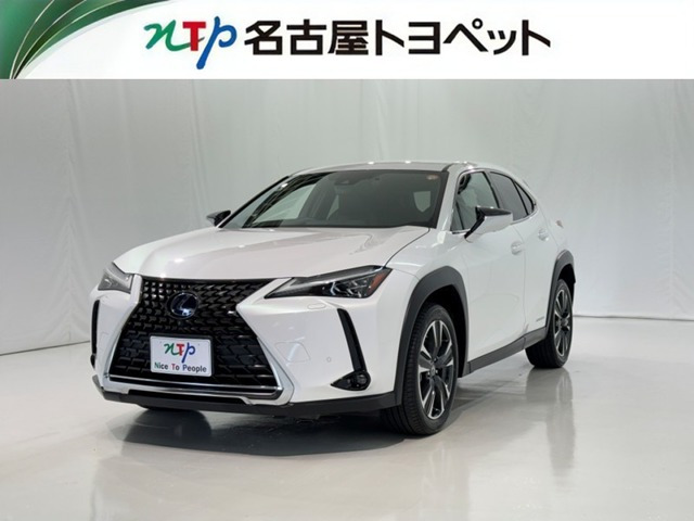 UX250h バージョンC
