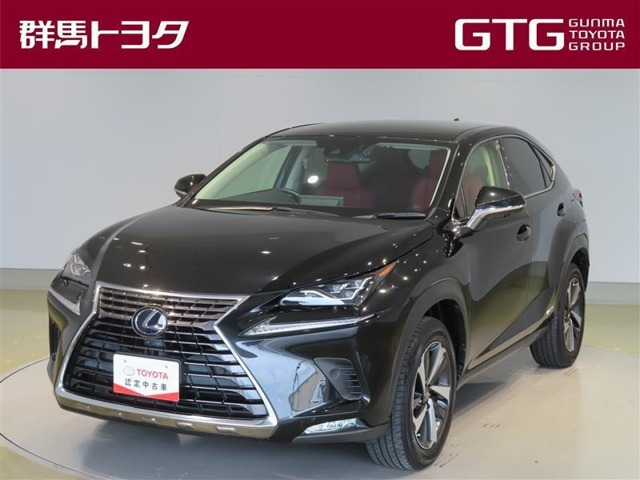NX300h Iパッケージ