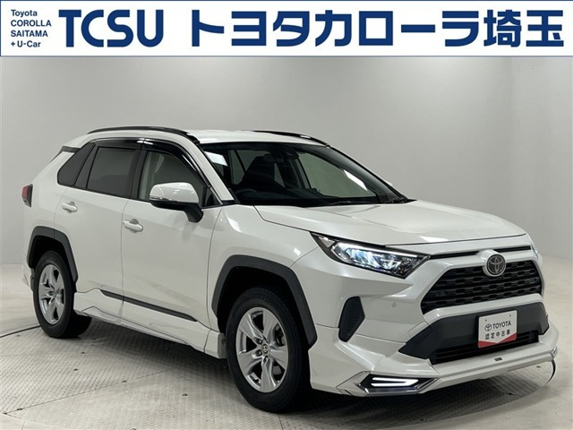 RAV42.0 X
