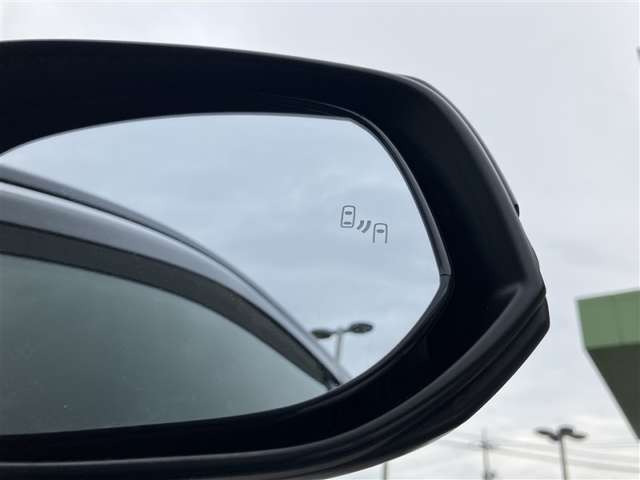 RAV42.0 X