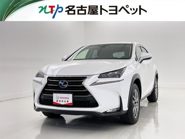 NX300h Iパッケージ