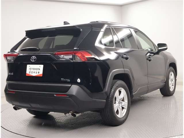 RAV42.0 X