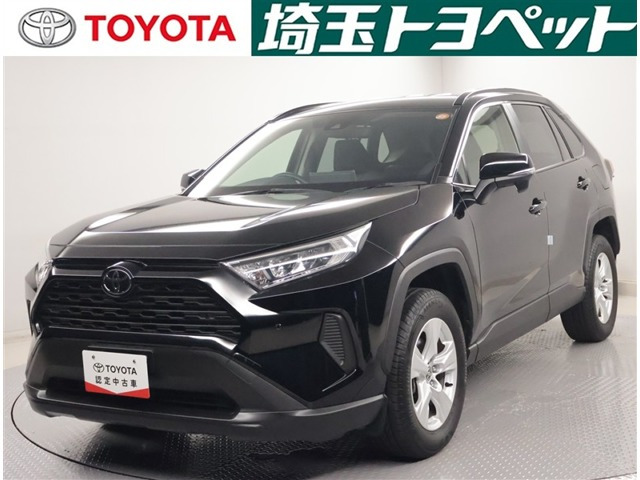 RAV42.0 X