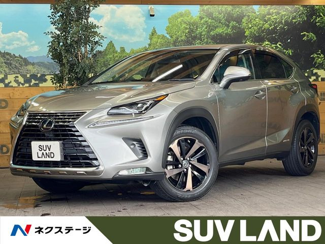 NX300h バージョンL