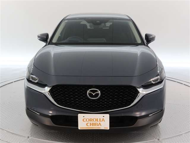 CX-302.0 20S プロアクティブ