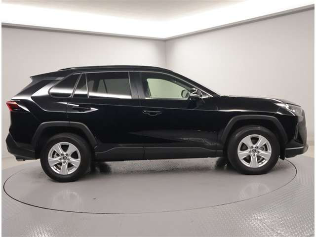 RAV42.0 X