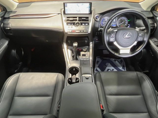 NX300h バージョンL