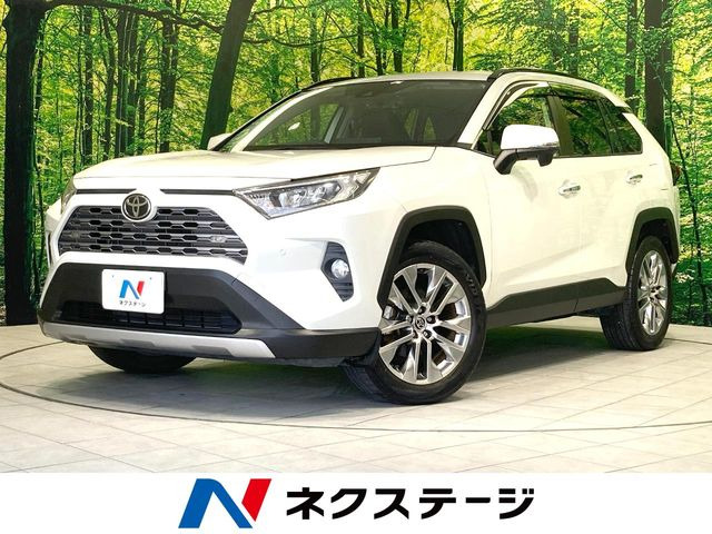 RAV42.0 G Zパッケージ 4WD