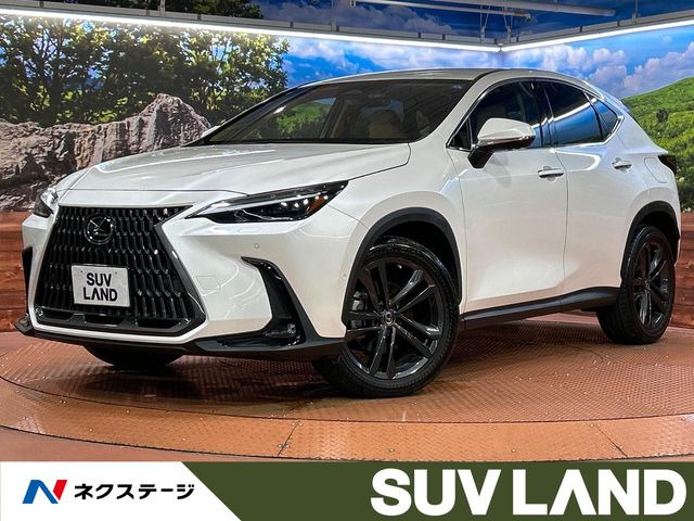 NX350h バージョンL