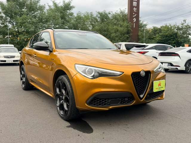 ステルヴィオ2.0 ターボ Q4 ヴェローチェ GTジュニア 4WD