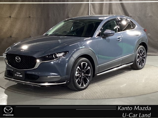 CX-301.8 XD Lパッケージ