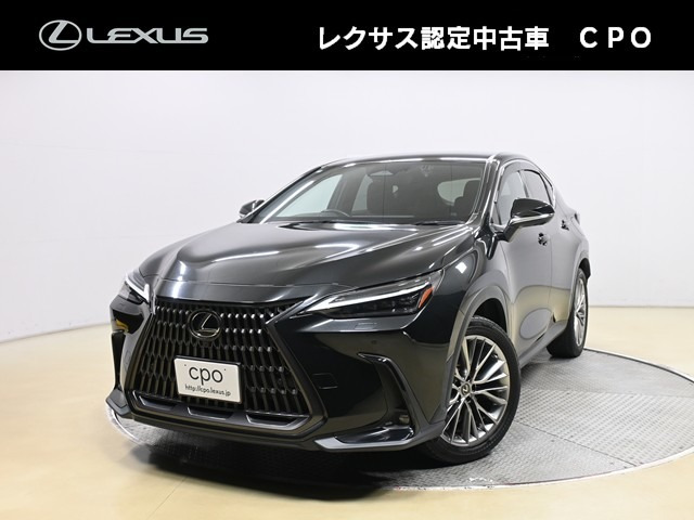 NX250 バージョンL
