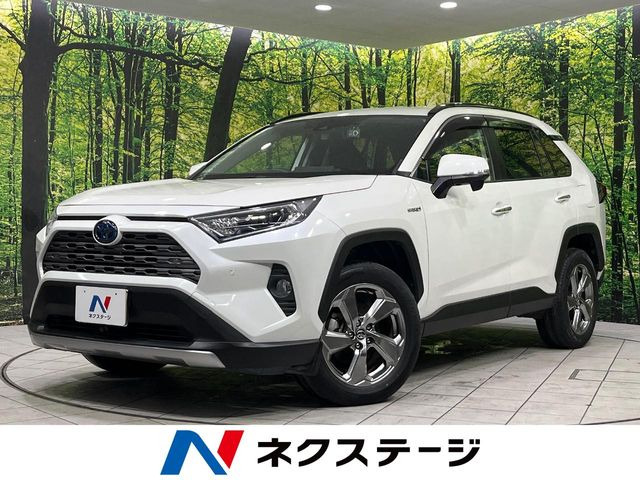 RAV42.5 ハイブリッド G E-Four 4WD