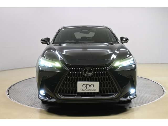 NX250 バージョンL