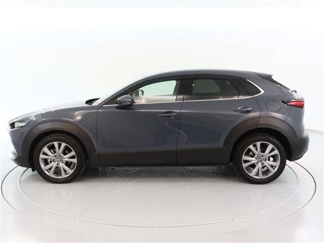 CX-302.0 20S プロアクティブ