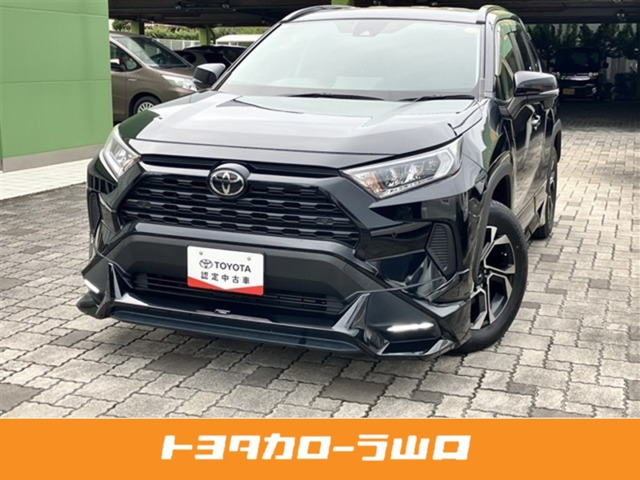 RAV42.0 X