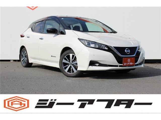 リーフX